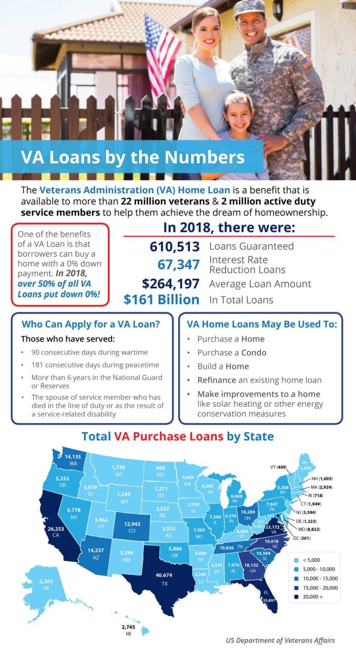 Quick Facts VA Home Loans [INFOGRAPHIC] Denver Realtor