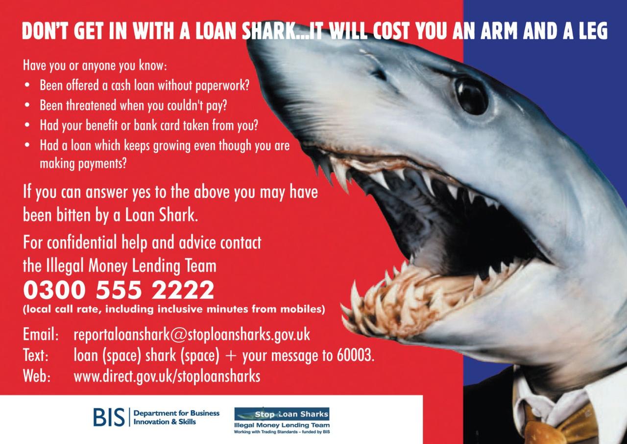 LoanSharks(BLANK)postcardLoan Sharks postcard Loan shark, Shark