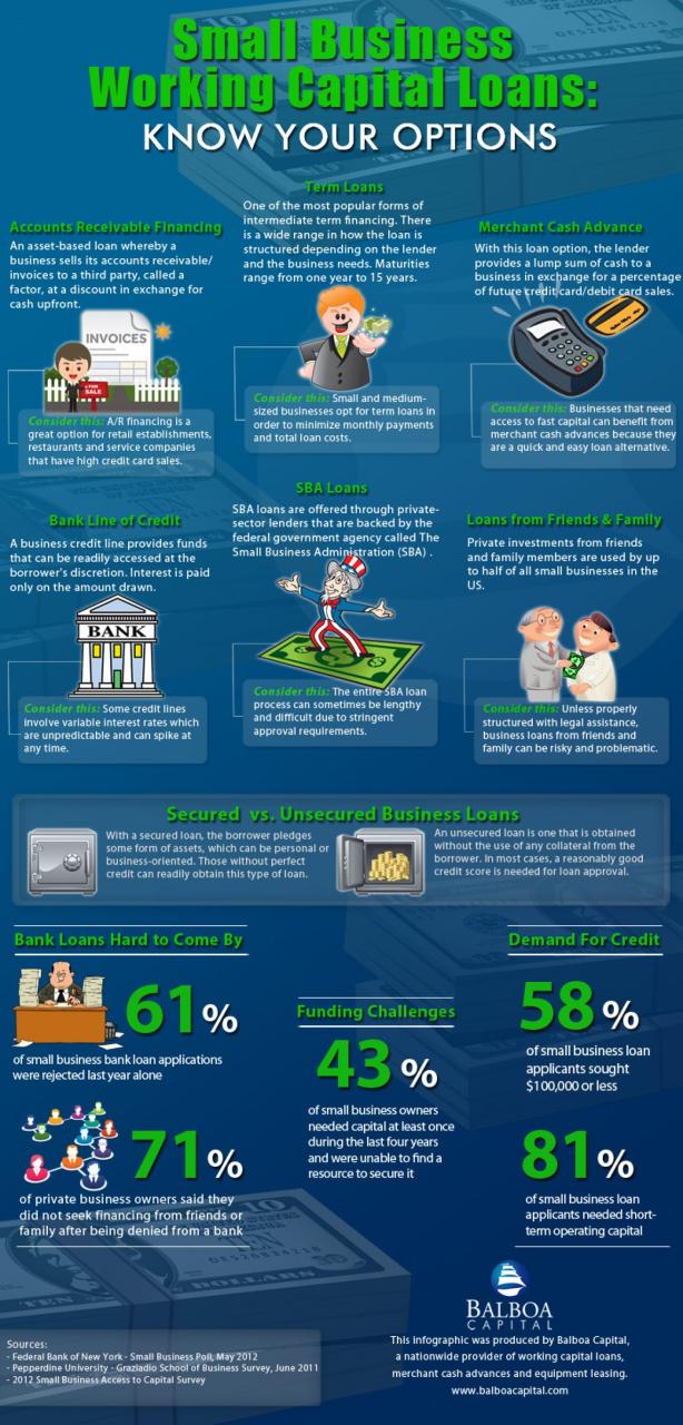 An Explanation of Small Business Loans [Infographic]