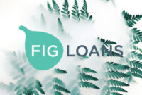 Loans Like Fig Loans