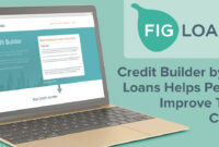 Looking for Loans Similar to Fig Loans