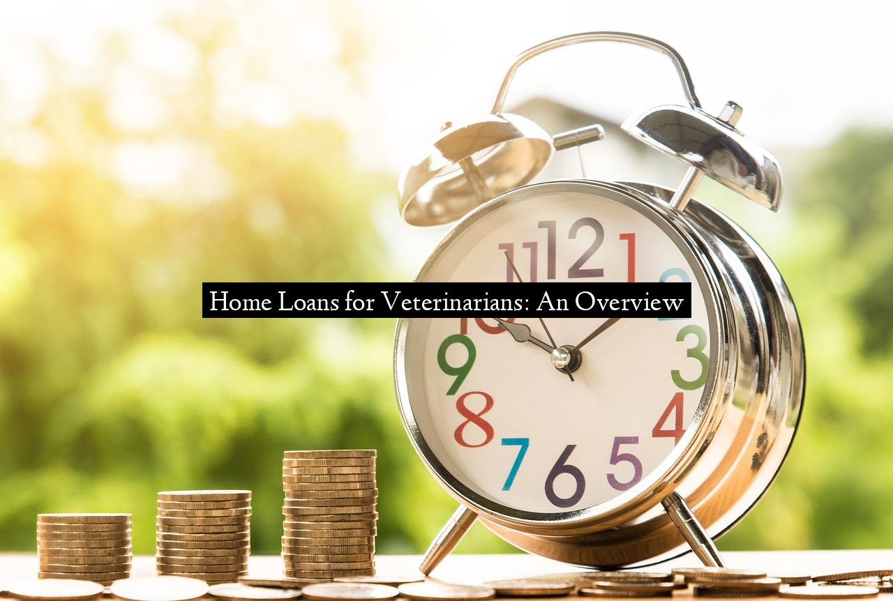 Home Loans for Veterinarians: An Overview
