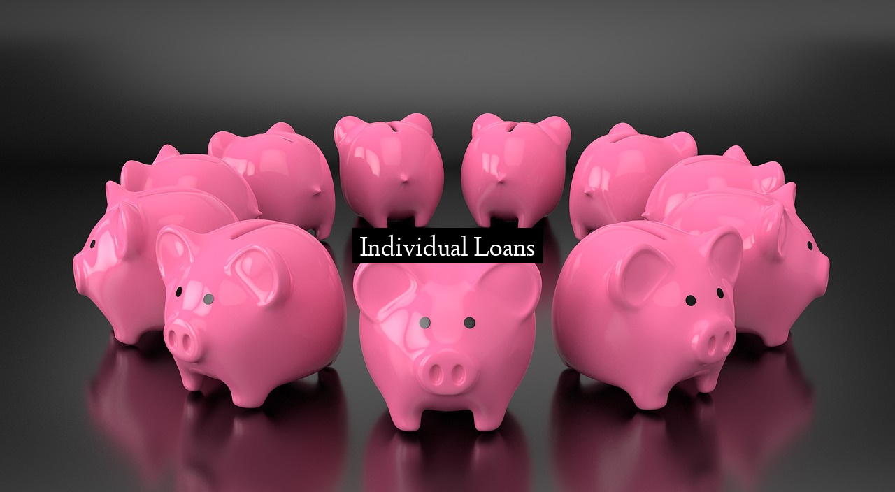Individual Loans