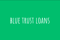 Is Blue Wave Loans Legit